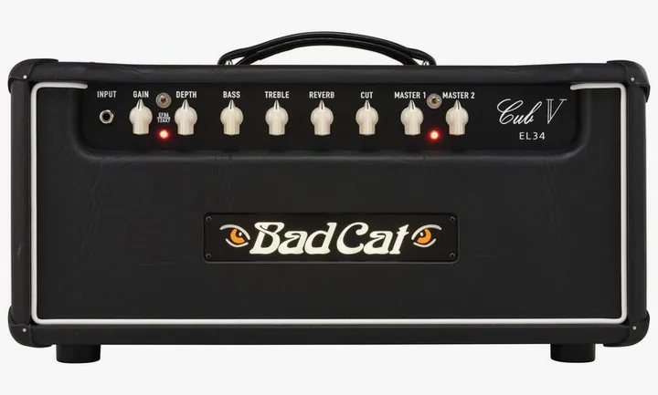 Bad Cat Cub V EL34 Head, billede 5