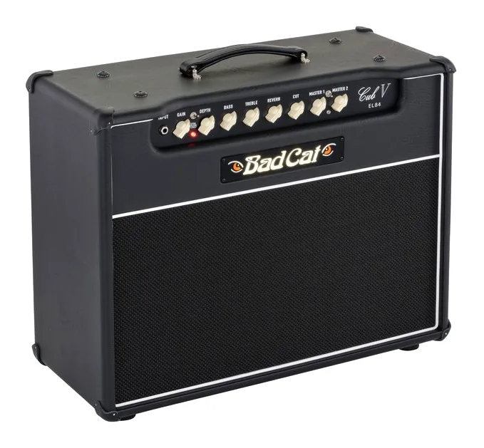 Bad Cat Cub V EL84 1x12 Combo, bild 3