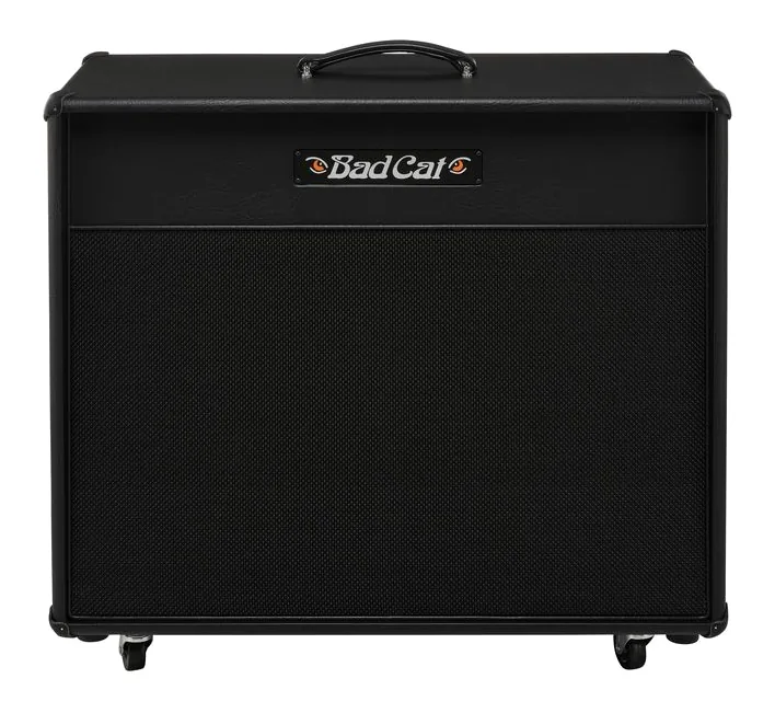Bad Cat Era 2x12 Cabinet, bild 2