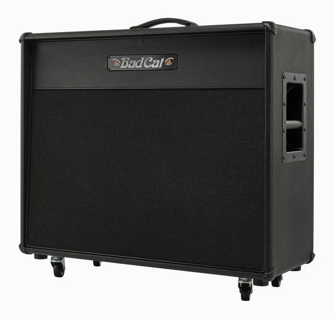 Bad Cat Era 2x12 Cabinet, bild 5