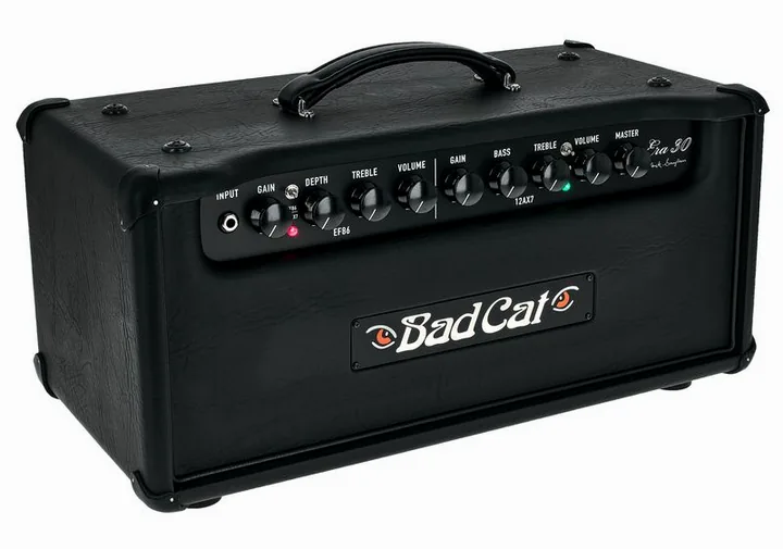 Bad Cat Era 30 Head, kuva 3