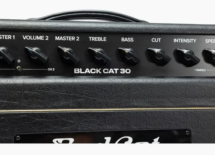 Bad Cat Mod Shop Black Cat 30 Head, kuva 5