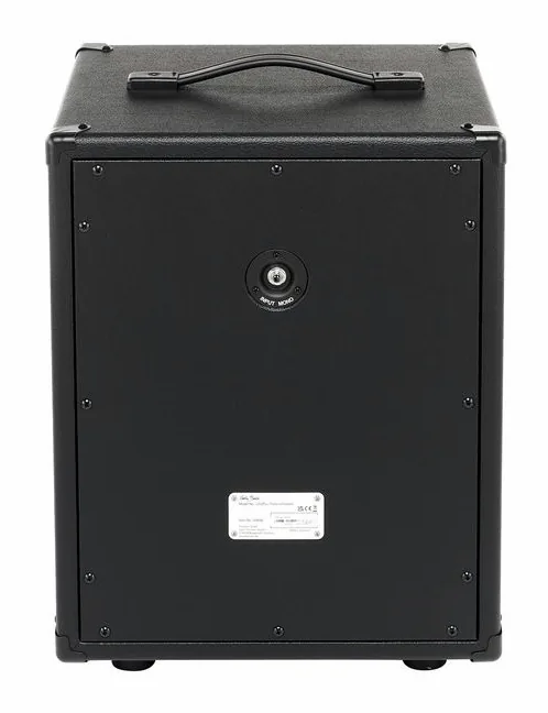 Harley Benton G112Plus Thiele Unloaded, billede 4